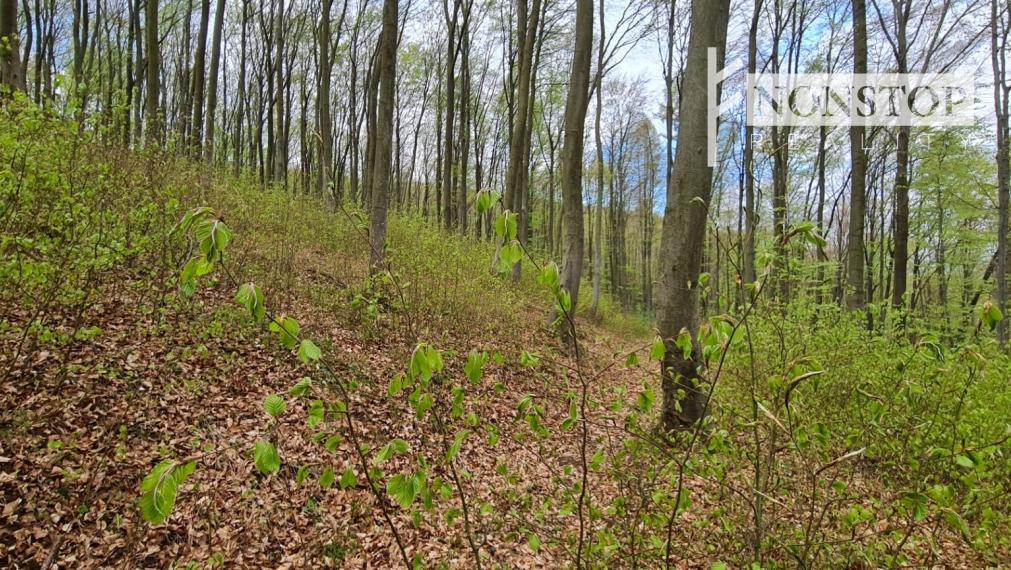 Na predaj pozemok v Trenčianskych Tepliciach vhodný na stavbu chatky alebo montovaného domu