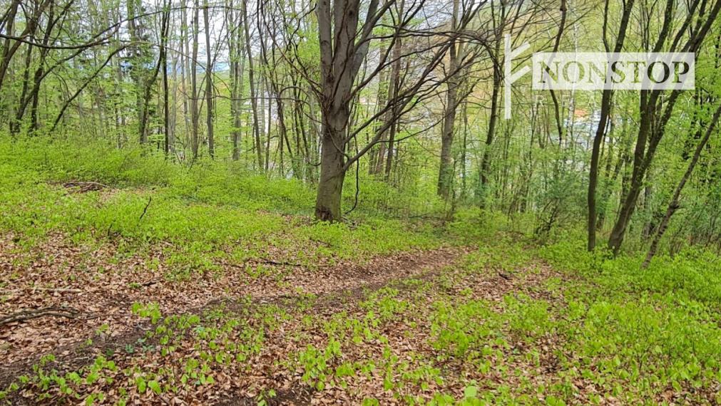 Na predaj pozemok v Trenčianskych Tepliciach vhodný na stavbu chatky alebo montovaného domu