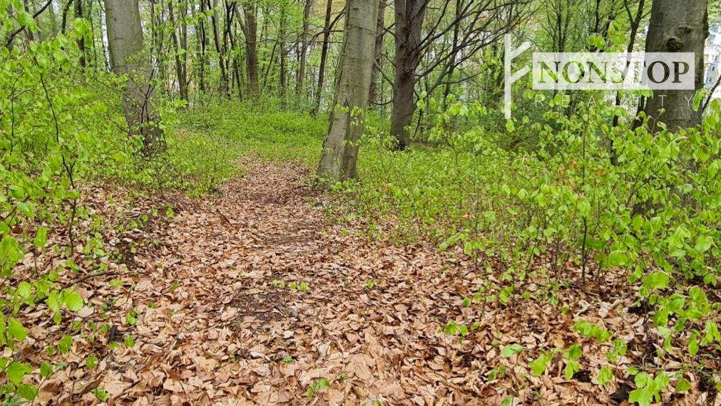 Na predaj pozemok v Trenčianskych Tepliciach vhodný na stavbu chatky alebo montovaného domu