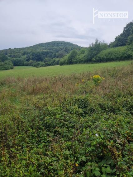 Na predaj pozemok v Trenčianskych Tepliciach vhodný a stavbu chatky alebo montovaného domu