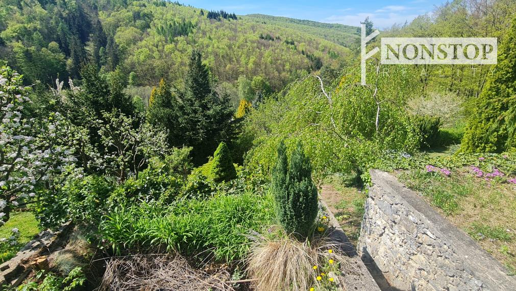 Chata v Ilave na predaj