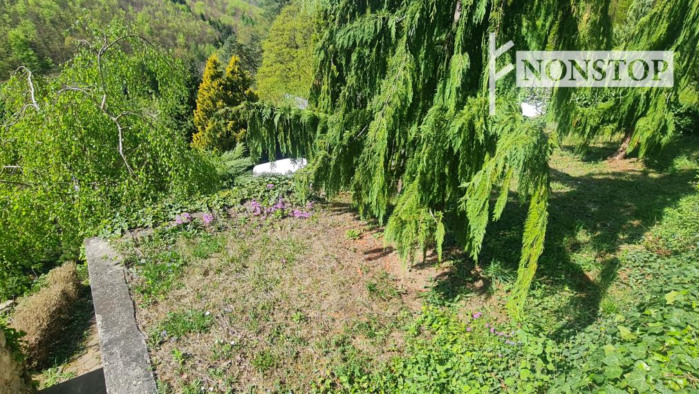 Chata v Ilave na predaj