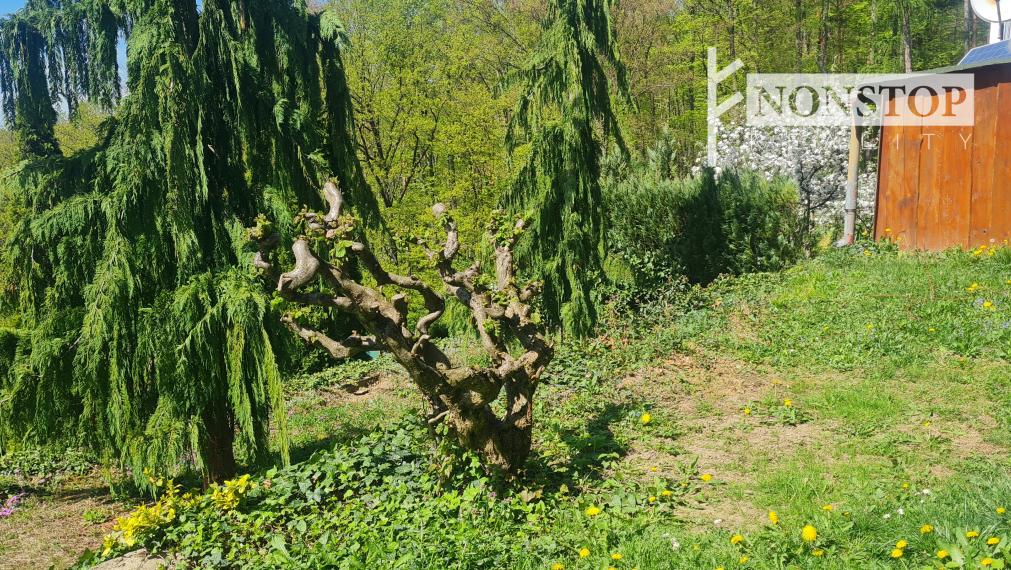 Chata v Ilave na predaj