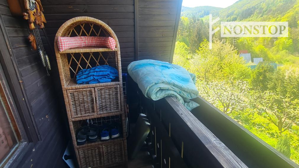 Chata v Ilave na predaj