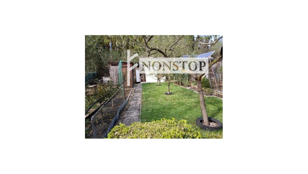 Na predaj záhrada s chatkou v Novej Dubnici