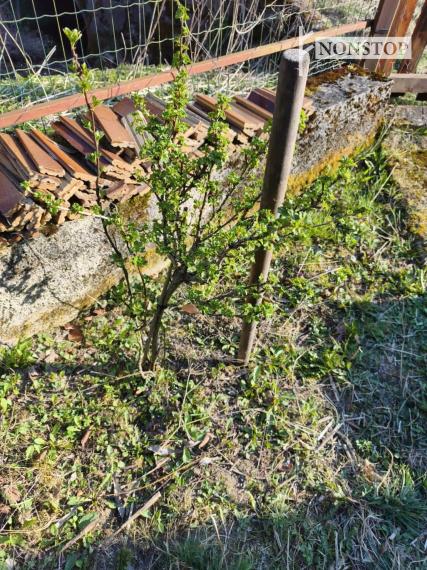 Predáme chatu vo Valaskej Belej