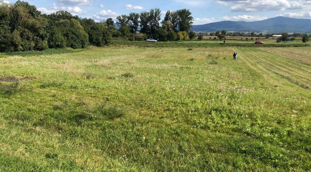 Investičný pozemok na výstavbu v Chocholnej