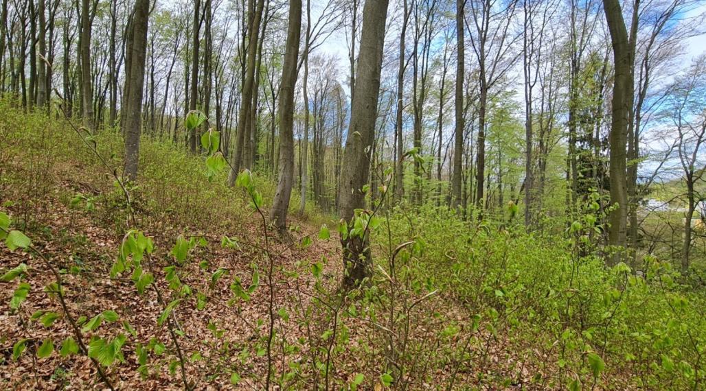 Na predaj pozemok v Trenčianskych Tepliciach vhodný na stavbu chatky alebo montovaného domu
