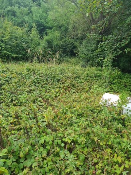 Na predaj pozemok v Trenčianskych Tepliciach vhodný na stavbu chatky alebo montovaného domu