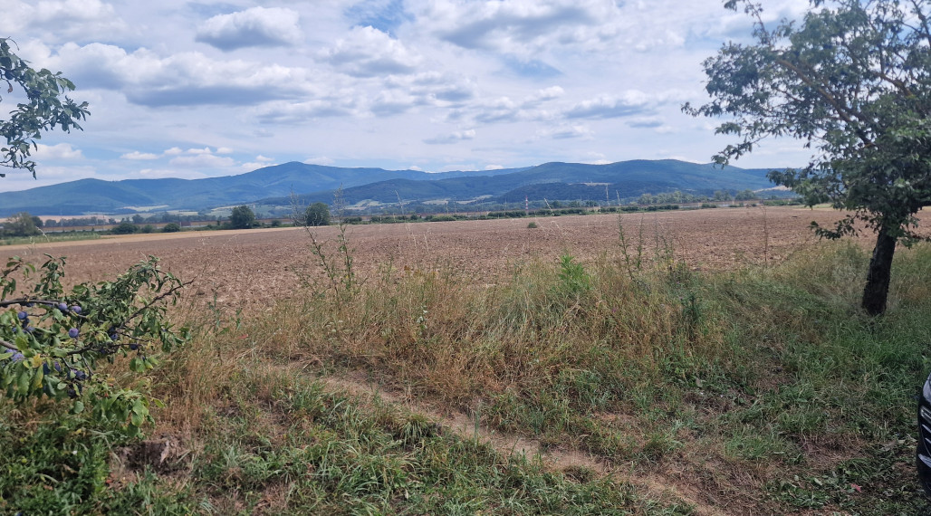 Predáme stavebný pozemok  určený na bývanie v rodinných domoch blízko Trenčína