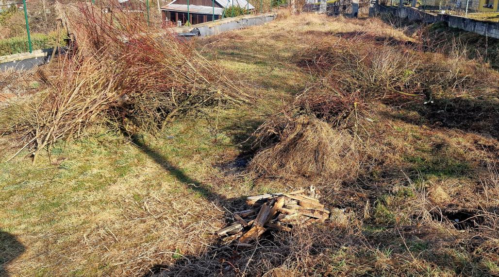 Pozemok v Kolačíne