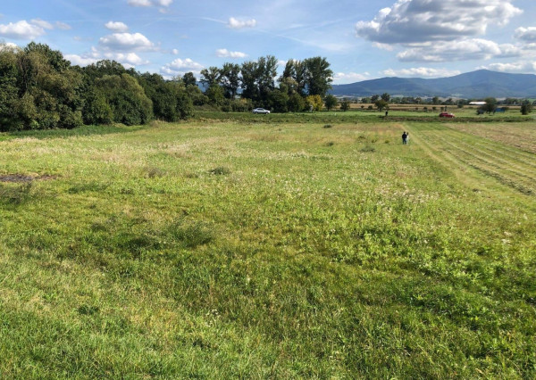 Investičný pozemok na výstavbu v Chocholnej