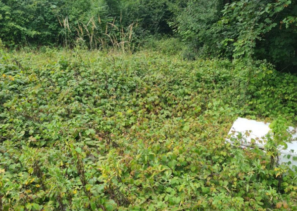 Na predaj pozemok v Trenčianskych Tepliciach vhodný a stavbu chatky alebo montovaného domu