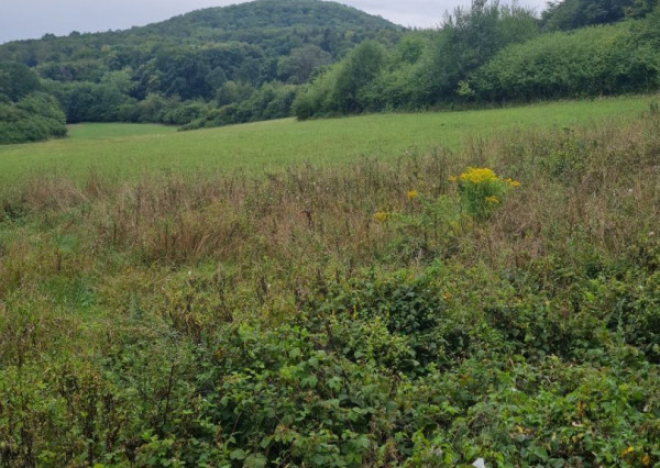 Na predaj pozemok v Trenčianskych Tepliciach vhodný a stavbu chatky alebo montovaného domu