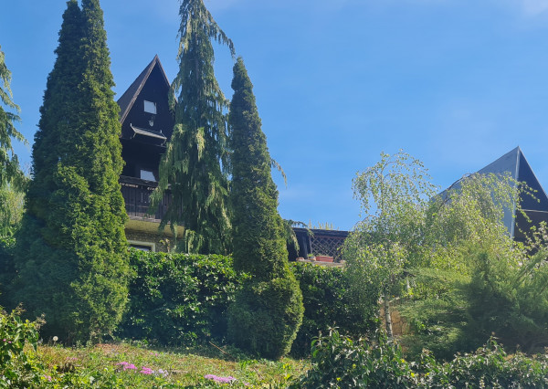 Chata v Ilave na predaj