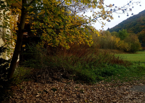 Ponúkame na predaj pozemok s rodinným domom v kúpeľnom mestečku Trenčianske Teplice