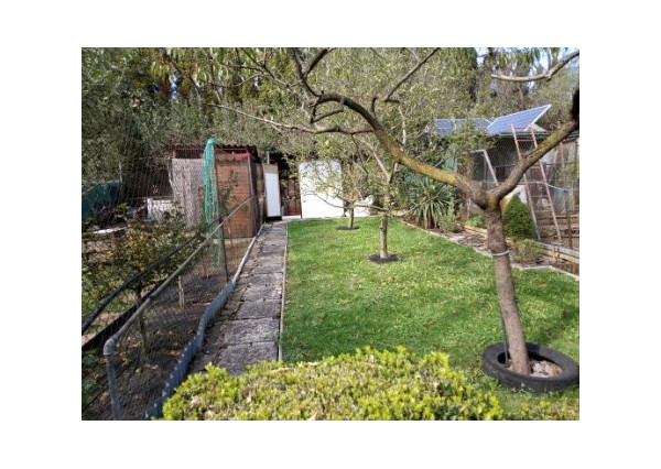 Na predaj záhrada s chatkou v Novej Dubnici