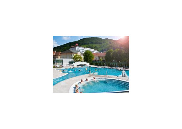 Ponúkame na predaj 2 izbový byt v Trenčianskych Tepliciach.