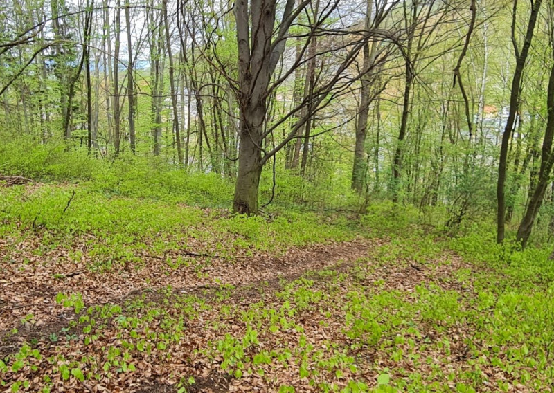 Na predaj pozemok v Trenčianskych Tepliciach vhodný na stavbu chatky alebo montovaného domu - fotografia 3