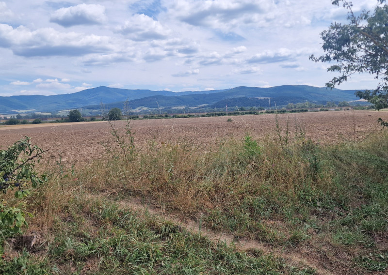 Predáme stavebný pozemok  určený na bývanie v rodinných domoch blízko Trenčína - fotografia 1