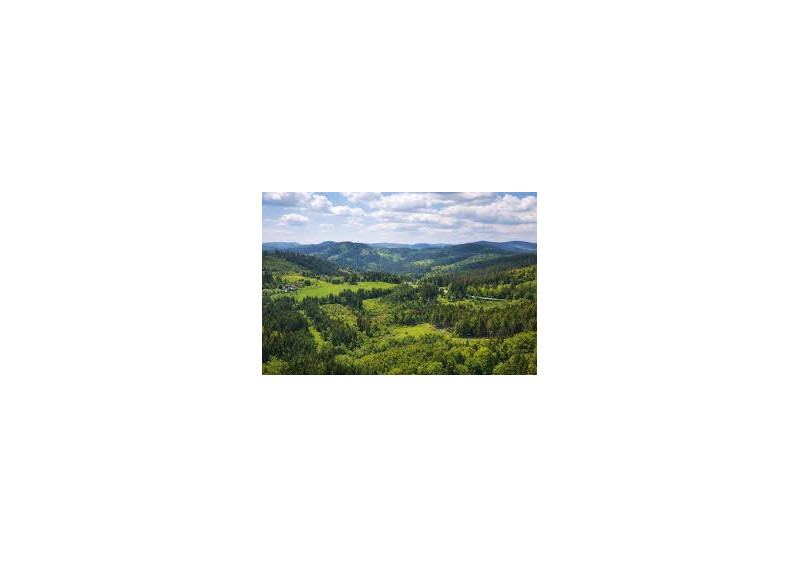 Predaj ornej pôdy v obci Zliechov - fotografia 1